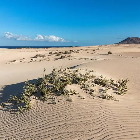 Home2book Chill Bbq Hideaway In 木屋